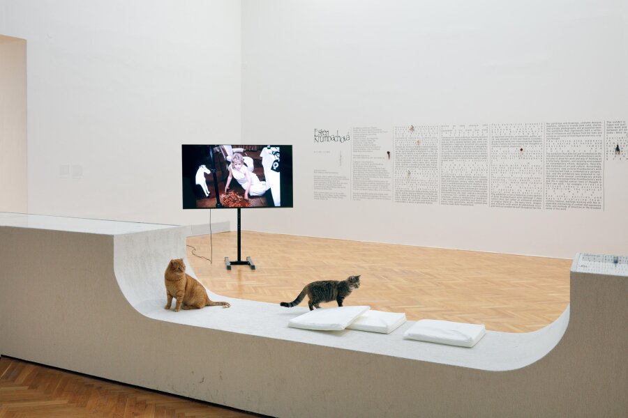 Ester Krumbachová foto Martin Polák